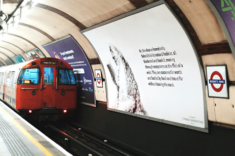 2023 - Partnerships less ordinary