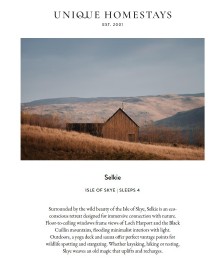 New Arrival: Selkie
