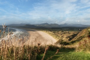 Harlech - Collections